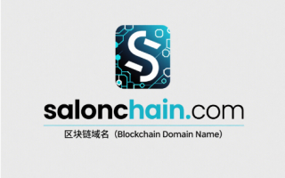 链启精英，域聚未来——chainsalon.com区块链域名全球首发推荐