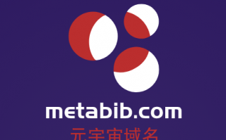 元宇宙域名用啥好,metabib.com等你来挑选