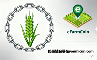 虚拟货币域名eFarmCoin.com深度解析与商业价值评估报告 虚拟货币域名eFarmCoin.com深度解析与商业价值评估报告