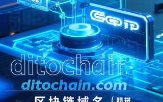 区块链域名DitoChain.com——解锁区块链时代的数字身份密钥！