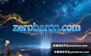 创意域名zerobaron.com深度解析与商业价值评估