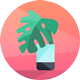 IUTChain