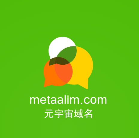 元宇宙啥域名好,metaalim.com值得你拥有-第1张图片-优米村(YOUMICUN.COM)